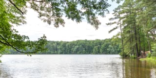 Lake Johnson Mews Gallery 2