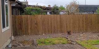 Beautiful Property is Available! Gallery 26