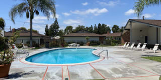 Orangewood Garden Apartments Gallery 2