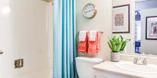 Alder Bellevue Gallery 10