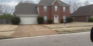 5657 Wolf Pack Dr Gallery 1