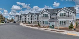 Red Hawk and Laurel Grey Gallery 2