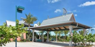 491 DAYLILY BOULEVARD Gallery 88