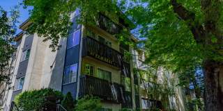 Tamarac Apartments Gallery 40