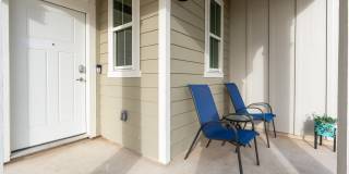 Mihir Taylor Gallery 4