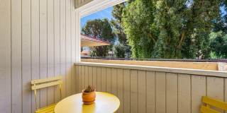 2812 N Auburn Ct unit: F207 Gallery 19