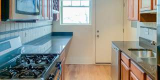 1849-51 W Cornelia / 3449-55 N Wolcott Gallery 15
