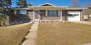 Bright, Clean Ranch Home in Sherrelwood Gallery 1