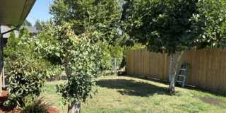 End of Summer Special $500 off first month rent End of Summer Special $500 off first month rent Gallery 1