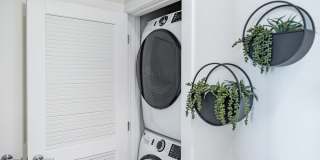 Illumina at Gulf Coast Town Center Gallery 5