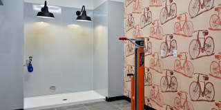 Timberview Apartments Gallery 22