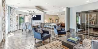 Terra at University North Park Gallery 41