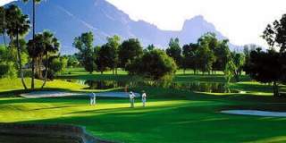 7506 N Via Camello Del Sur -- Gallery 39