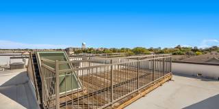 Magnolia at West Lemmon Gallery 42