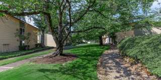 Carrington Gallery 4