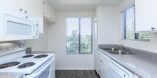 Spring Lakes Apartment Homes Gallery 36