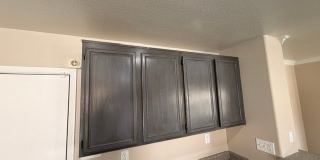 3208 BRAYTON MIST Drive Gallery 82