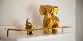 2960 KOKOMO LOOP Gallery 18