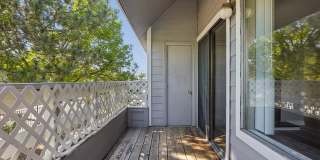 Windmill Apartments Gallery 23