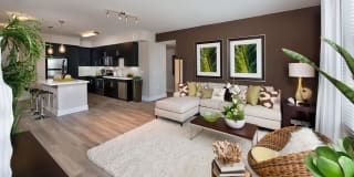 Boardwalk by Windsor Gallery 20