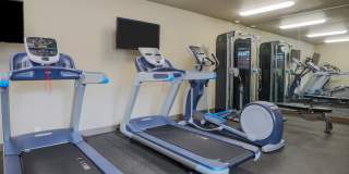 Scriber Creek Gallery 7