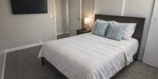 Garden View Gallery 22