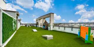 SilverStream Gallery 19