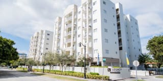 Legacy at The Roads Gallery 1