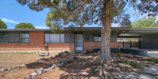 2927 HARRISON Avenue Gallery 4