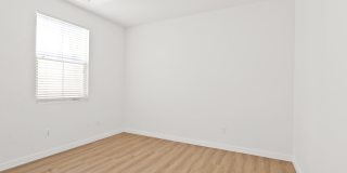 111 Wild Rose Gallery 17