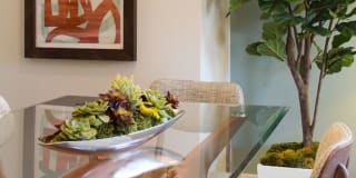 Avalon Vista Gallery 10