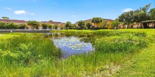 813 Pipers Cay Drive Gallery 35