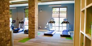 Park and Broad Gallery 21