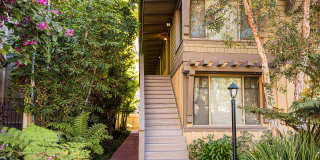 Elan Beachcomber La Jolla Gallery 5