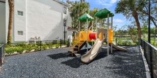 Windsor Coral Springs Gallery 26