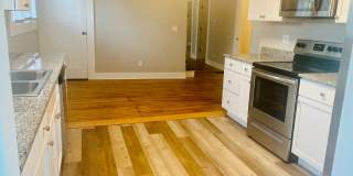 Newley Renovated 4BR - 2BA - South Campus! Gallery 4