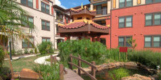 Senior Housing - Golden Bamboo III Senior Gallery 10