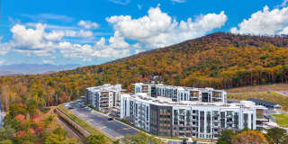 Ellison at the Preserve Gallery 45