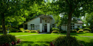 Benson Downs Gallery 18