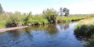 Adorable Cabin on the River Gallery 1