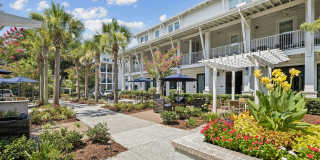 Avalon at James Island Gallery 18