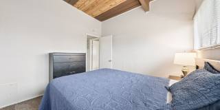 Belcrest Plaza Gallery 54