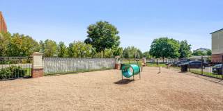 IMT Cherry Creek Gallery 38