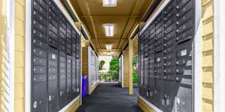 Tamaron Ranch Gallery 1