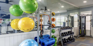 Central Park Gallery 16