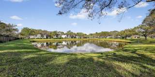 Advenir at Banyan Lake Gallery 26