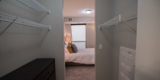 Confluence on 3rd Gallery 11