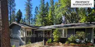 20 Turpentine Drive Gallery 1