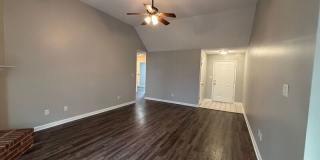 9532 Chi Chi Cv Gallery 22