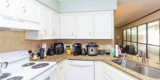 13009 BENT PINE Court E Gallery 7